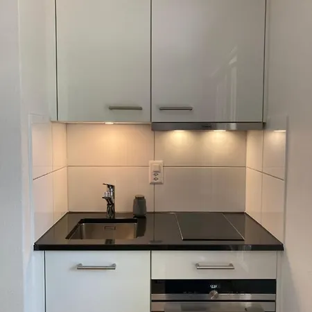 Furnished Studio With Garden Seefeld Close To Lake Zurich Exterior photo