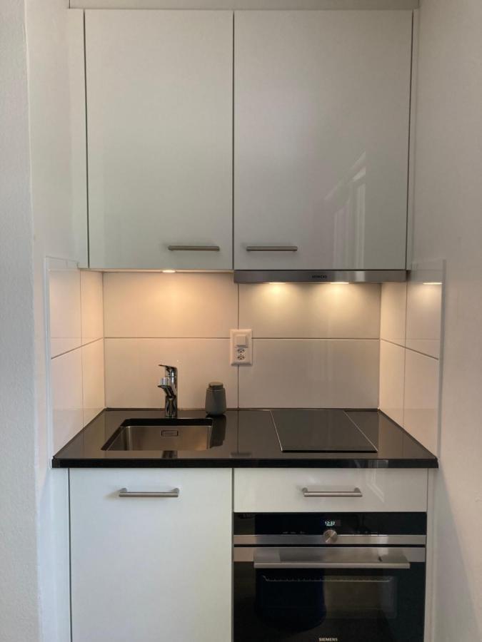 Apartment Furnished With Garden Seefeld Close To Zurich